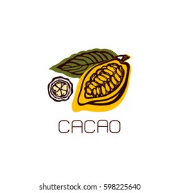 Theobroma cacao. Cocoa fruit with leaves. Label, emblem, logo. Isolated object on white background. Hand drawn. Vector illustration.