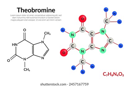 Theobromine (xantheose) chocolate alkaloid, molecular structure formula, ball-and-stick model, suitable for education or chemistry science content. Vector illustration