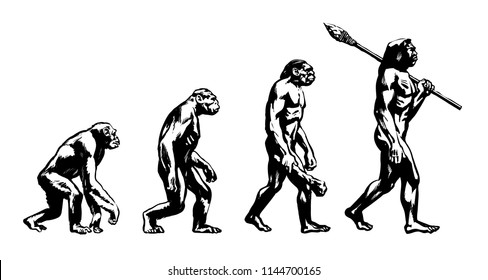 Theory Of Evolution Of Man. Human Development From Monkey To Caveman. Neanderthal, Java Man, Australopithecine,  Chimpanzee. Homo-sapience, Hominid, Primate. Hand Drawn Sketch Vector Illustration