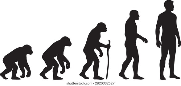theory of evolution of man silhouette vector on a white backgraound