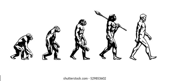Theory of evolution of man.Human development.Cro-Magnon, Neanderthal,Java Man, Australopithecine, monkey, Homo-sapience, hominid, primate. Hand drawn sketch vector illustration isolated on white