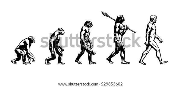 人類の進化論 人間の発達 クロ マグノン ネアンデルタール ジャワ マン アウストラロピテクス 猿 ホモ サピエンス ホモ ヒト 霊長類白い背景に手描きのスケッチベクターイラスト のベクター画像素材 ロイヤリティフリー