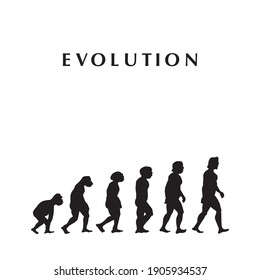 theory of evolution, vector illustration, for background, white background