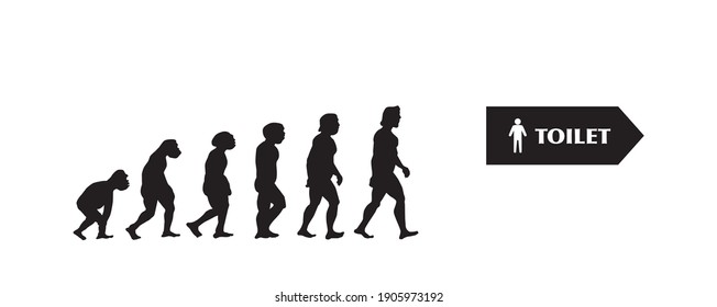theory of evolution, vector illustration, for background, toilet, white background