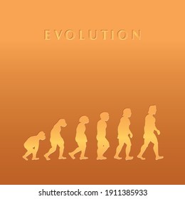 theory of evolution, vector illustration, for background, white background, LEONARDO DA VINCI.