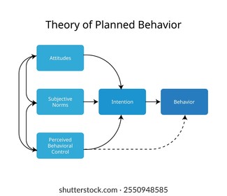 Theory of planned behavior from attitude to behavior