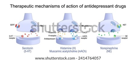 Therapeutic mechanisms of action of antidepressant drugs. Antidepressant blocks receptors and monoamine transporter proteins of Histamine, Muscarinic acetylcholine, Norepinephrine and Serotonin Stock photo © 