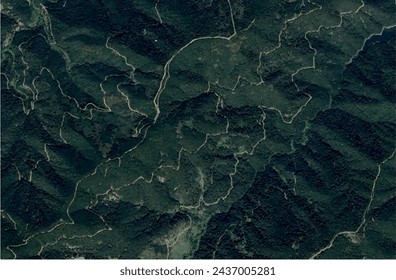 Terapia Bosque Texturas Naturales Fondo