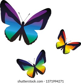 There are 3 degraded colors butterfly