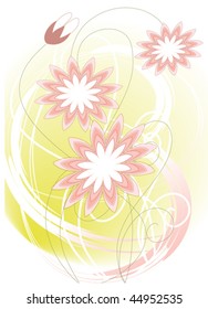 There are asters inflorescence on a pink background