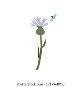 There is a bee flying above cornflower made as a vector illustration that is good for nature topic. But it can be used in children’s goods field as a print on clothes or domestics, notebooks or sketch