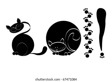 There is a black cat on a white background a close up