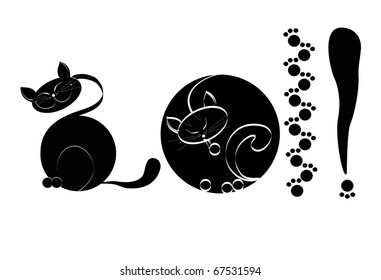 There is a black cat on a white background a close up