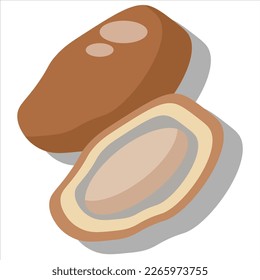 there are brown dates with a flat illustration design, there are dates that are still intact and there are those whose flesh and date seeds are open.