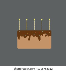 
There is a cake on every birthday. This is a chokolate cace with candles over it.