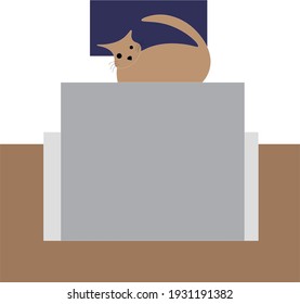 There is a cat in front of the computer in my office