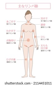 Hay una descripción de "ganglios linfáticos principales" y el nombre de cada ganglio linfático en japonés.