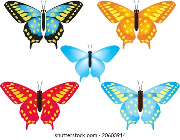 There are five butterflies