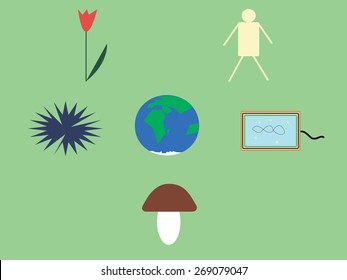 There are five kingdoms of nature: mushrooms, plants, viruses, animals and bacteria
