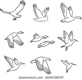 There are a group of beautiful flying birds vectors. It can be use in CorelDraw, Adobe illustrator or any other eps. supported design software. 