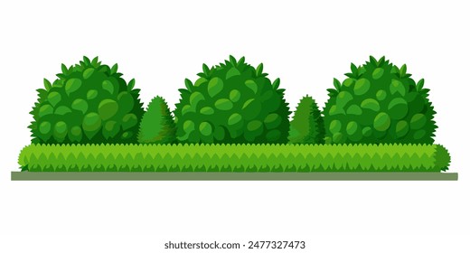 There is a line of green shrubs against a white backdrop in the image