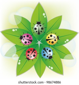 There are many ladybirds on green leaves, ecology, organic