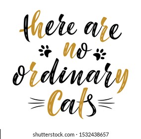 there are no ordinary cats handwritten sign. Modern brush lettering. Slogan about cat. Cat lover. Vector isolated illustration