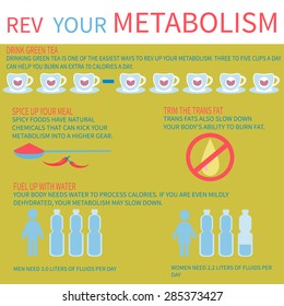 There are other ways to improve your metabolism. Vector infographic.