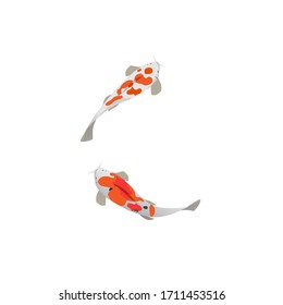 There are pair of brocaded carps also known as KOI on isolated white background that was made as a vector illustration. It will be good for printing on clothes, domestics, notebooks or posters