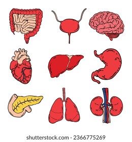 There are several kinds of images of human internal organs