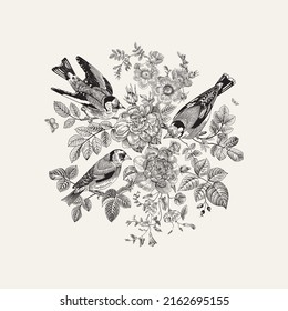 There are three birds in the rose bushes. Vector vintage classic floral composition. Black and white 