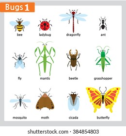 There are twelve different kinds of bugs isolated in white