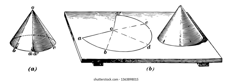 There are two figures shown in this image. The first figure is covered and the effect of the second figure, vintage line drawing or engraving illustration.