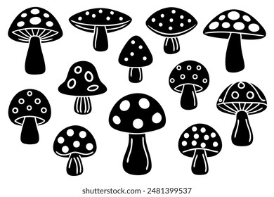 There are various types of mushrooms present in this collection