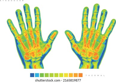 Thermal Hands, Heat Map, Colorful