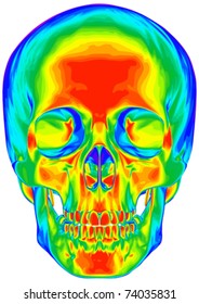 Thermal image of the human skull, isolated on white background