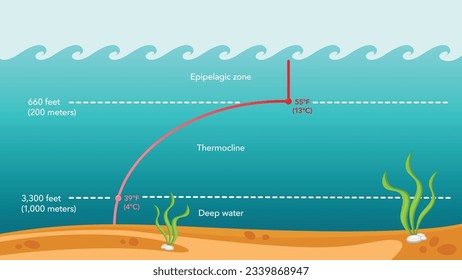 Thermocline water temperature vector illustration infographic