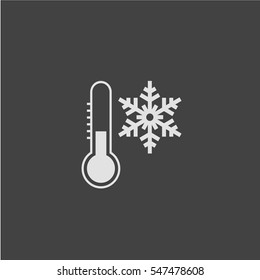 Thermometer icon