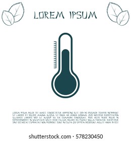 Thermometer icon , vector illustration