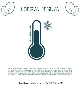 Thermometer icon , vector illustration