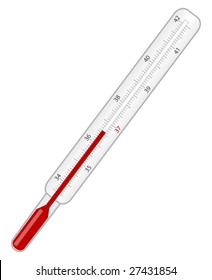Thermometer. Isolated on white. Vector illustration.