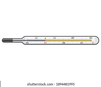 Thermometer for measuring human temperature. Medical device.