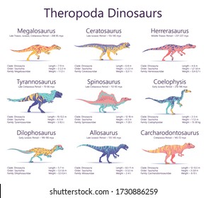 Theropoda dinosaurs. Colorful vector illustration of dinosaurs isolated on white background. Set of ancient creatures with information of size, weigh, classification and period of living. Predators.