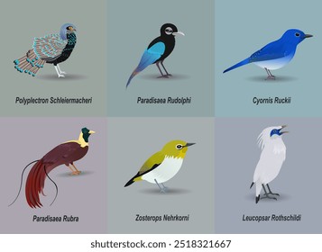 These are 6 types of rare birds in Indonesia