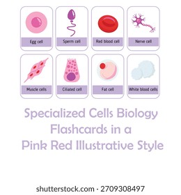 Dies sind biologische Zellillustrationen. Dies kann in Poster, Flyer, Bildung oder jedem anderen Design-Projekt verwendet werden. Spezielle Zellen Biologie Karteikarten in einem rosa Rot Illustration Stil