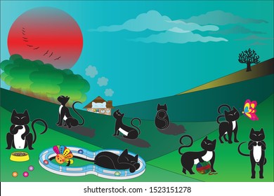 These black cats with their white belly are playing, eating, resting and relaxing all around in front of their cutest house near by the small forest in the mountain under the sunset.