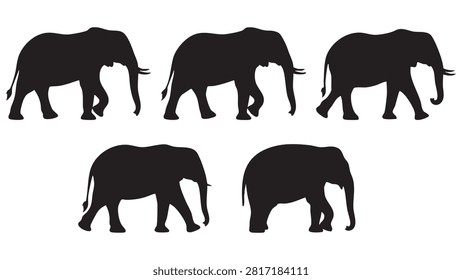 These are black silhouettes of elephants shown in various poses against a plain white background.