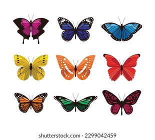 These are coloured butterflies vector.