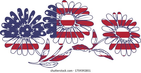 These coneflowers look like explosion of red white blue. This 4th of July illustration features three coneflowers colored in the USA flag. 
