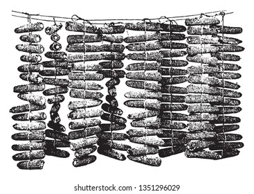 These corns are kept dry; it's built with a rope, vintage line drawing or engraving illustration.